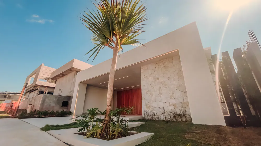 Fachada de casa com revestimento em pedra e palmeira